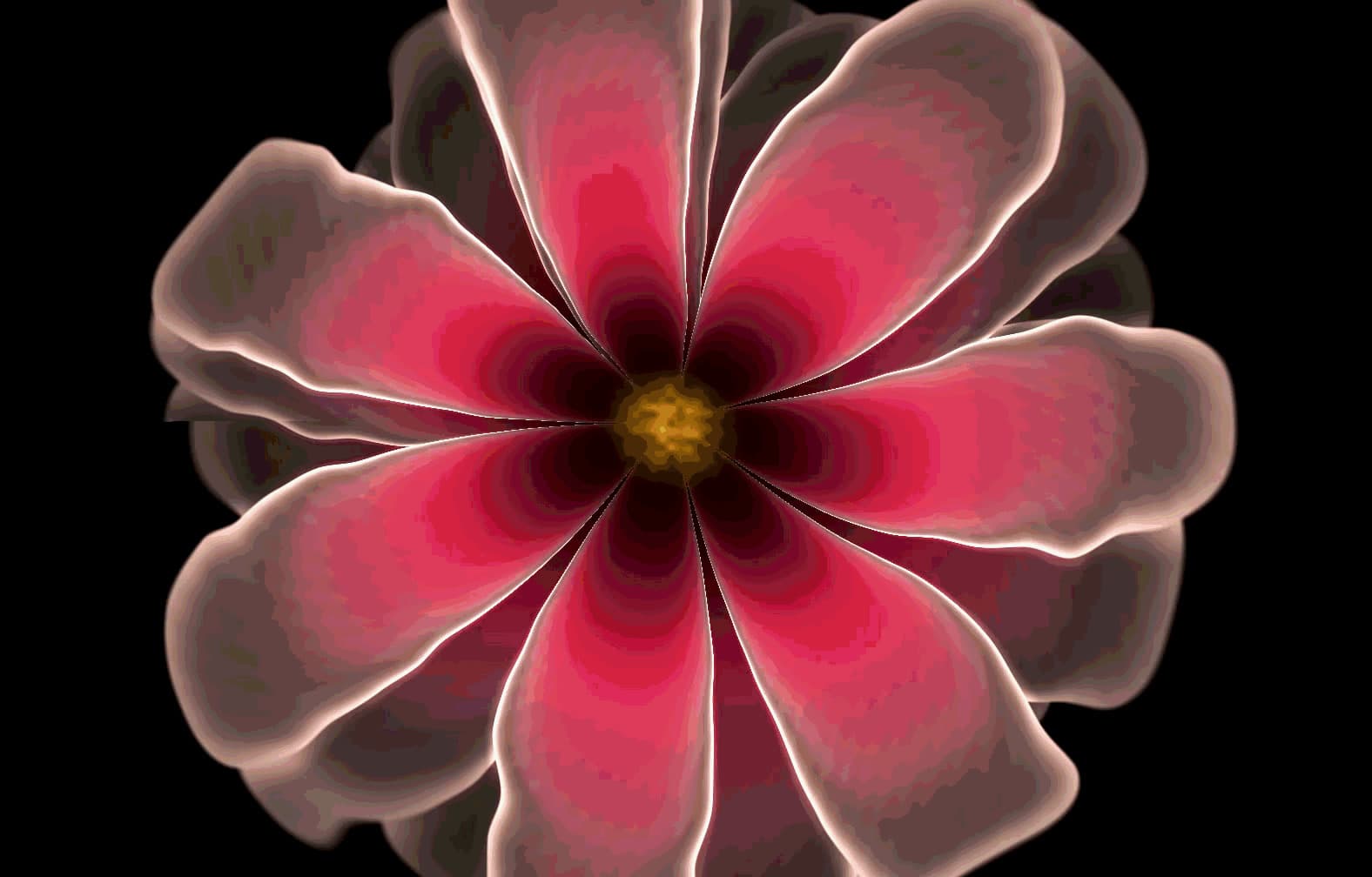 Midnight Flora