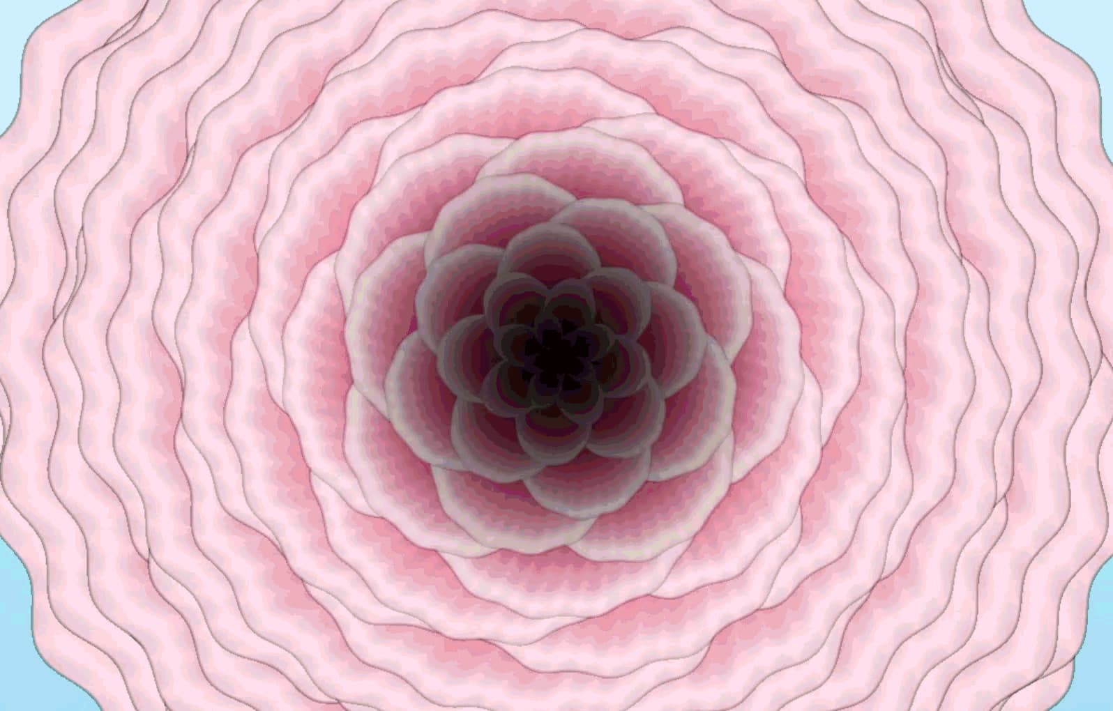 Crimson Rose
